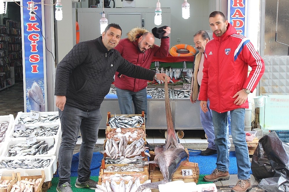 İki buçuk metrelik kılıç balığı ilgi görüyor BALIKÇILIK Kaptan Haber