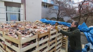 Beyşehir Gölü'nden Suriye'ye "Çin Sazanı" ihracatı