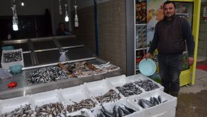 Fatsa'da balık fiyatları günlük değişiyor