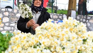 İzmir'de nergis kokulu günler başladı