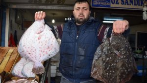 Kalkan'ın fiyatı altınla yarışıyor