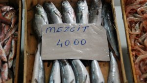 Mezgit et fiyatlarıyla yarışıyor