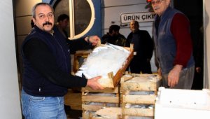 Samsun'dan Türkiye'nin dört bir yanına balık gönderiliyor