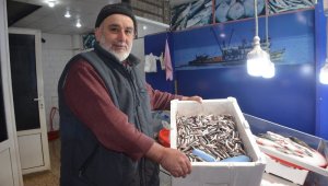 Sinop'ta hamsi yeniden tezgahlarda