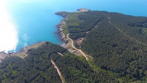 Sinop'ta nükleer santral kurulacak alan havadan görüntülendi