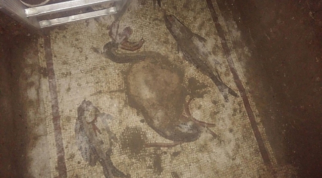 Tarsus'taki kaçak kazıdan balık ve kuşlu mozaik çıktı