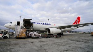 Turkish Cargo Çin'e penguen ve aslan taşıdı