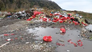 Zonguldak'ta çevreyi kirleten firmalara 48 milyon 391 bin lira ceza