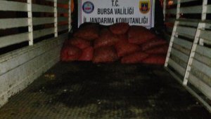 300 kilo midye ele geçirildi