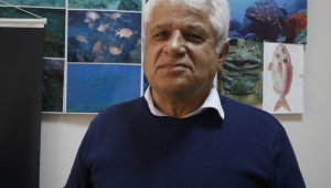 Akdenizin işgalci balıkları su altında görüntülendi