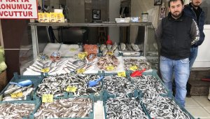 Batı Karadenizde balık fiyatları düştü