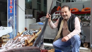 İki buçuk metrelik kılıç balığı ilgi görüyor