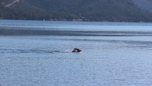 Marmaris'te kış ortasında deniz keyfi