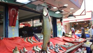 1 metre 20 santimlik turna yakaladılar