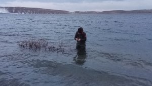 Aygır Gölü'nde zebra midye tehlikesi