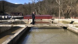 Tarım Müdürü Şahin, Balık üretim tesisinde incelemelerde bulundu