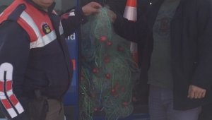 Tarsus'ta yasa dışı balık avlayan 2 kişi yakalandı