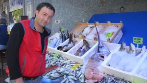 Balık sezonun kapanmasına günler kaldı