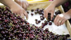 EİB ihracatı 1980 sonrasında 24 kat arttı