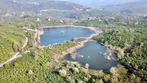 Fatsa Gaga Gölü büyülüyor