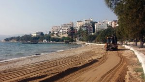 Güllük yaza hazırlanıyor