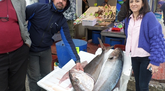 Mudanya'da balıkçıların ağına 1 metrelik "akya" takıldı