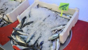 Tezgahlar dondurulmuş balığa kaldı