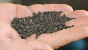 Yüzyılın madeni 'Leonardit'in kaynağı Türkiye'de