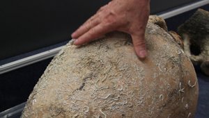 Balıkçılar ağlarına takılan tarihi eserleri devlete teslim etti