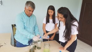 Su yosunundan mazot ürettiler