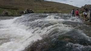 Uçan balıkların muhteşem göçü devam ediyor