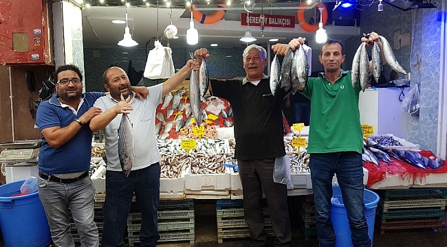 Karadeniz balık patlaması: "Ne alırsan 5 TL"