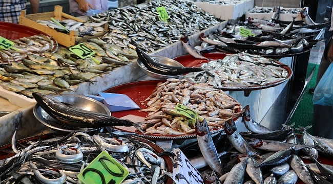 Rize'de tezgahlarda balık bolluğu