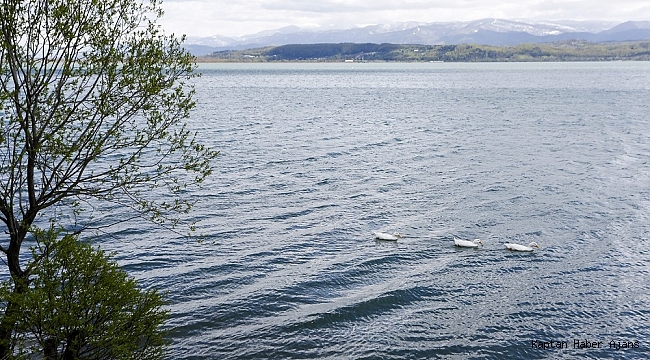 Sapanca Gölü'nün seviyesi iyi durumda