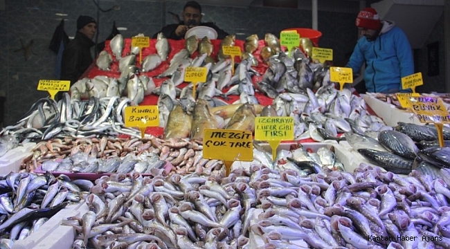 Karadeniz'de balık bolluğu
