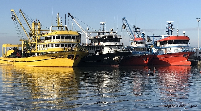 Balıkçılar tonlarca hamsiyle döndüler