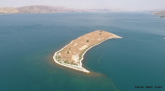 Gölün ortasındaki ada "Tavşanlara" ev sahipliği yapıyor
