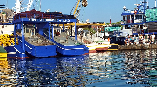 Didim'de Balıkçılar Zor Durumda
