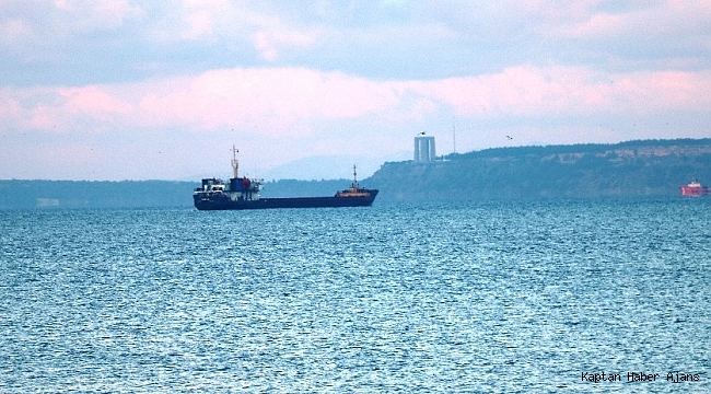 Gemi kaptanı kamarasında ölü bulundu