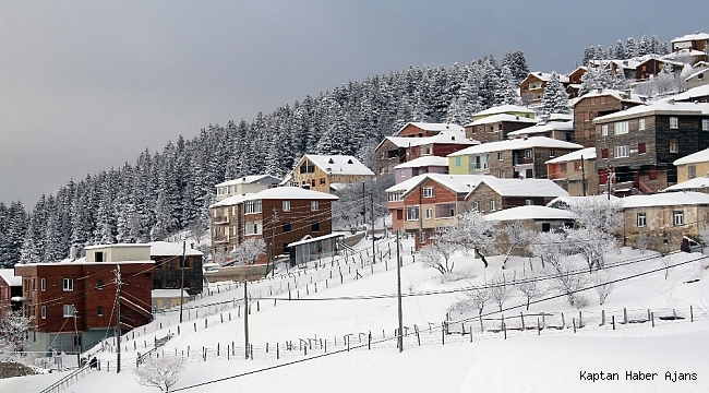 Giresun yaylalarından kartpostallık görüntüler