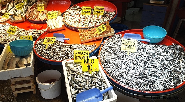 Hamsi yüzde 300 zamlandı