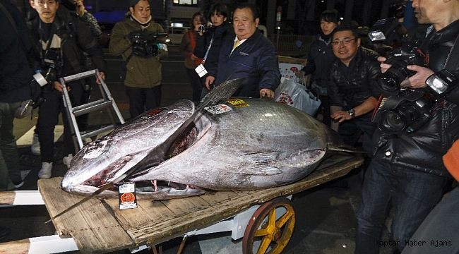 Tokyo'da balık mezatında rekor fiyat, 16 milyon liraya satıldı