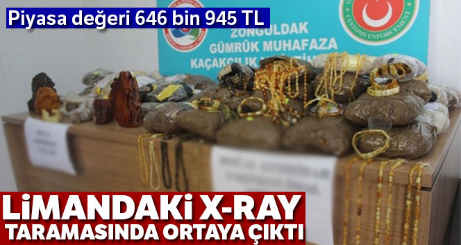 Tır dorsesinde 646 bin 945 TL'lik kehribar taşı ele geçirildi