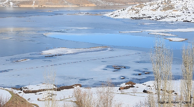 Yüzen adalar soğuktan dondu