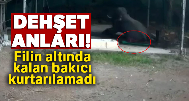Filin altında kalan bakıcı kurtarılamadı