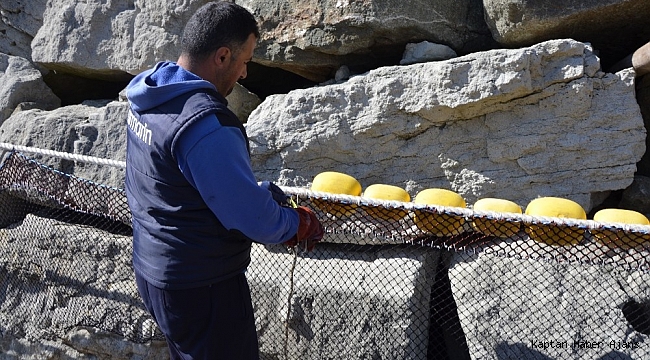 Ordulu balıkçılar sezonu değerlendirdi