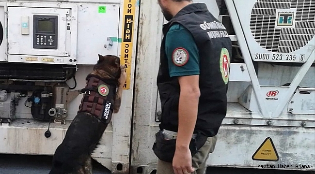 Ambarlı Limanı'nda 90 kilo kokain ele geçirildi
