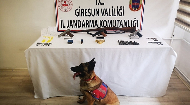 Giresun'da silah kaçakçılarına baskın