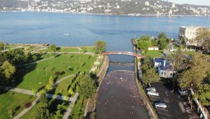 İstanbul'da yağmurdan sonra şoke eden görüntü: denize çöp aktı