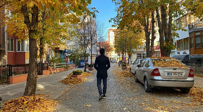 Eskişehir'de eşsiz sonbahar manzarası
